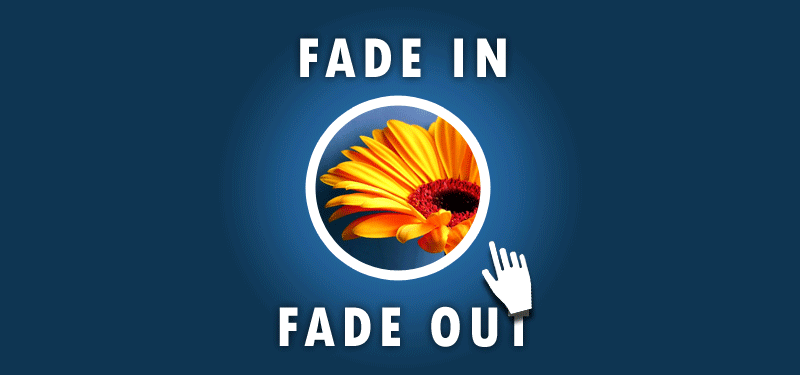 fade in fade out effect with css 3